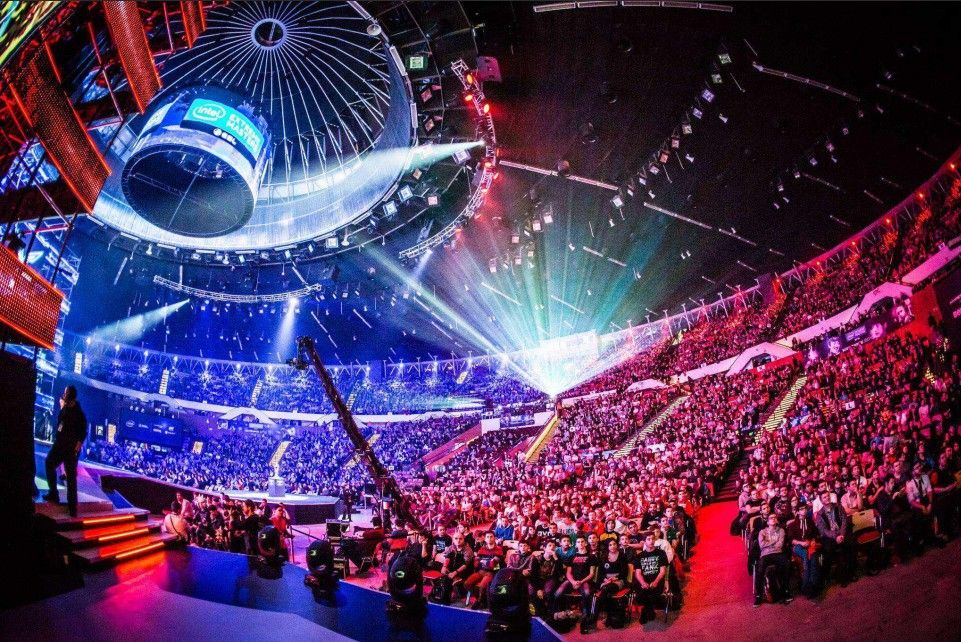 以及坚韧的 以及坚韧的