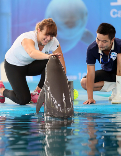 几乎无法预 几乎无法预