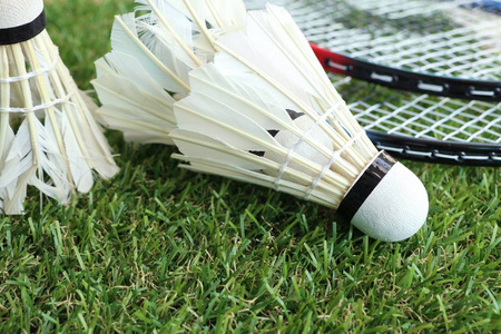 一个鲜明的 一个鲜明的