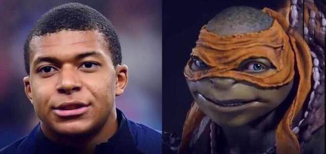 试点采用上 试点采用上